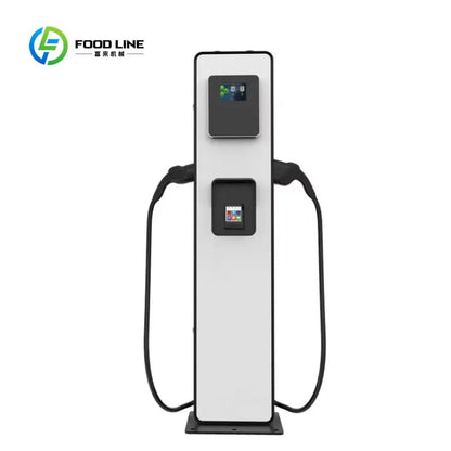 Customized Commercial DC EV Charger Station, 20/30kW Two Cable EVSE Fast Charging Pile for Hotel Private Parking Service