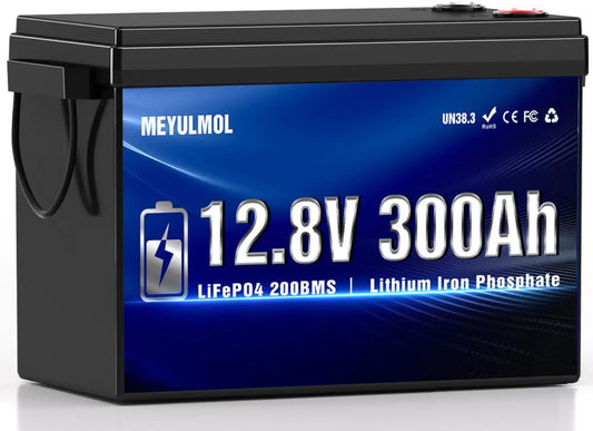 12V 300Ah LiFePO4 Lithium Battery 200A BMS 15000 Cycles 3840Wh Rechargeable Low Temp Protection RV Solar Marine Panel Camping