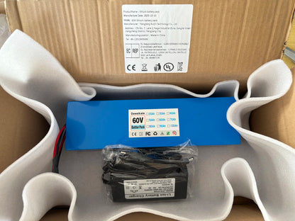 60V 100Ah 16s4p lithium-ion battery pack 60V 100000mAh 2000W electric battery, built-in 50A BMS+charger