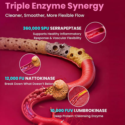 Nattokinase Supplement, Supports Blood Flow, Heart Health, & Healthy Circulation, Digestive Aid, Boosts Cellular Energy