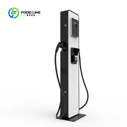 Customized Commercial DC EV Charger Station, 20/30kW Two Cable EVSE Fast Charging Pile for Hotel Private Parking Service