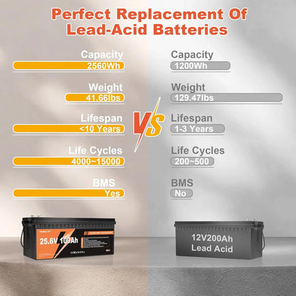 24V 100Ah LiFePO4 Lithium Battery Built-in 100A BMS 2560Wh 10000+ Deep Cycles Rechargeable Battery 24V Lithium Battery, Custom